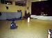 DSC02659_edited