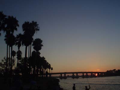 DSC02408