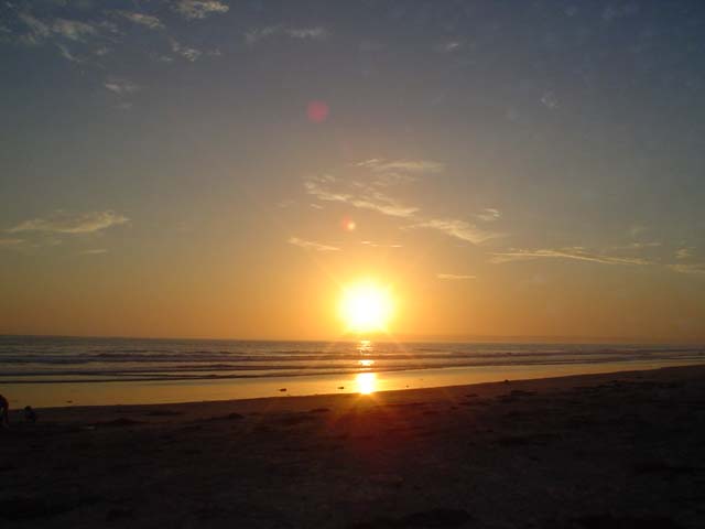 DSC03487
