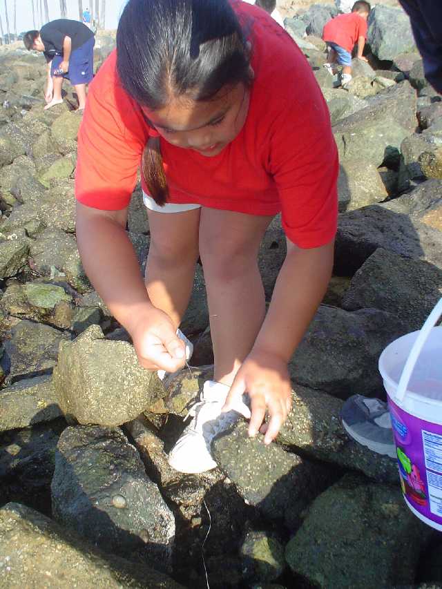 2007Picnic035