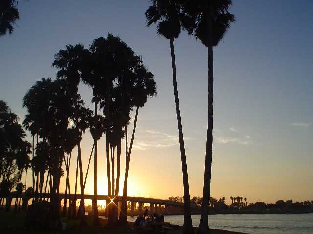 2007Picnic042