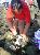 2007Picnic035