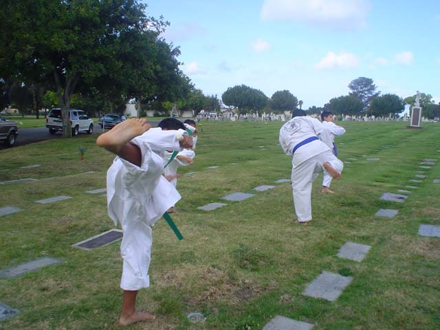 DSC04339
