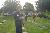 DSC05819001