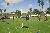 DSC05923001