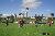 DSC05927001
