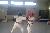 sparring20090825-015