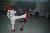 sparring20090825-023
