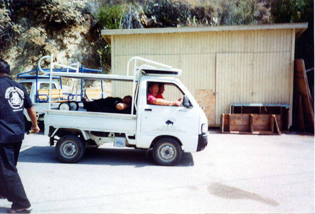 pic13
