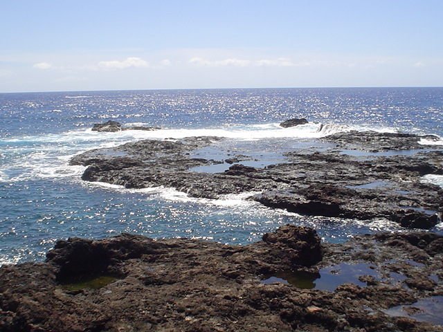 DSC00649